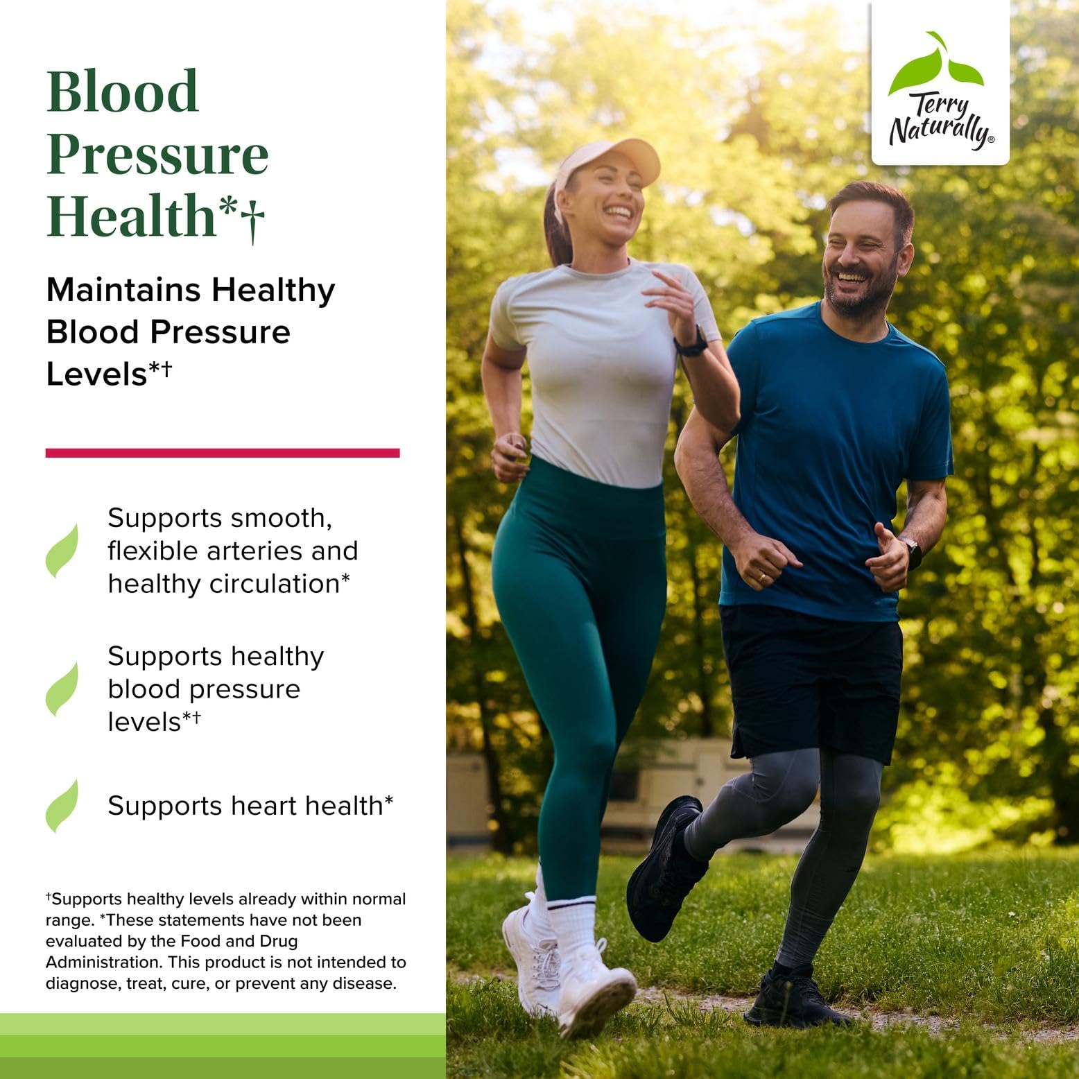 Terry Naturally Blood Pressure Health - Healthy Blood Flow & Circulation Support Supplement - Heart Health Supplement with Antioxidants - Cardiovascular Support - 60 Capsules Terry NaturallyBuy Supplements Australia