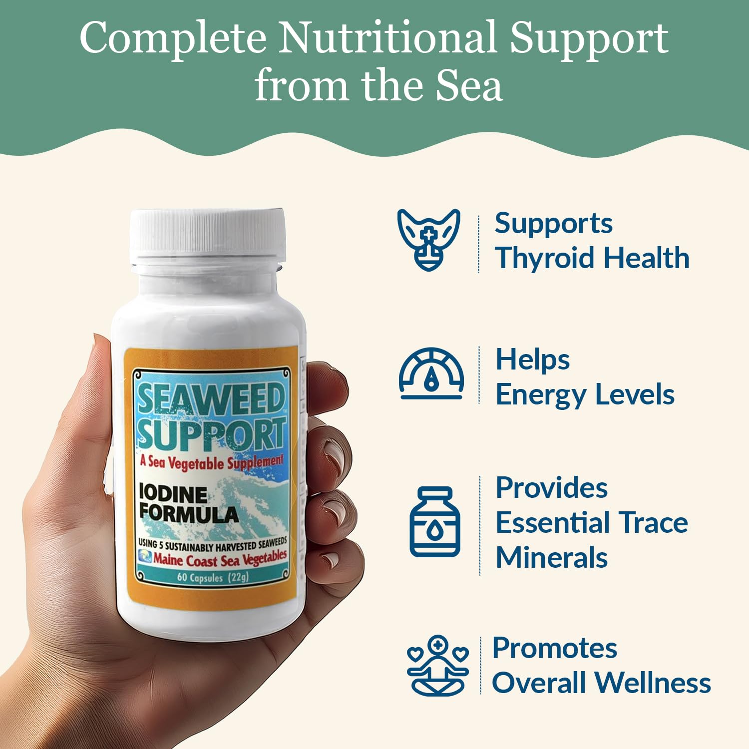 Maine Coast Sea Vegetables Seaweed Support Iodine Formula | Source of Iodine from Seaweed | Daily Use Iodine Supplement | Organic Alaria, Rockweed, Sea Lettuce, Dulse & Bladderwrack blend | 60 Capsule Maine Coast Sea VegetablesBuy Supplements Australia