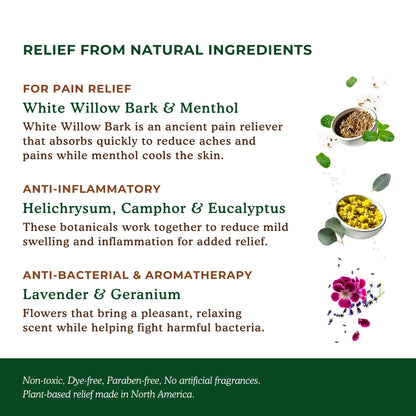 Nature's Willow Willow Balm Natural Pain Relief Cream for Muscles & Joints | Fast-Acting with Willow Bark & Menthol | Free from Artificial Fragrances & Dyes | 6-Pack | 3.5 fl oz Nature's WillowBuy Supplements Australia
