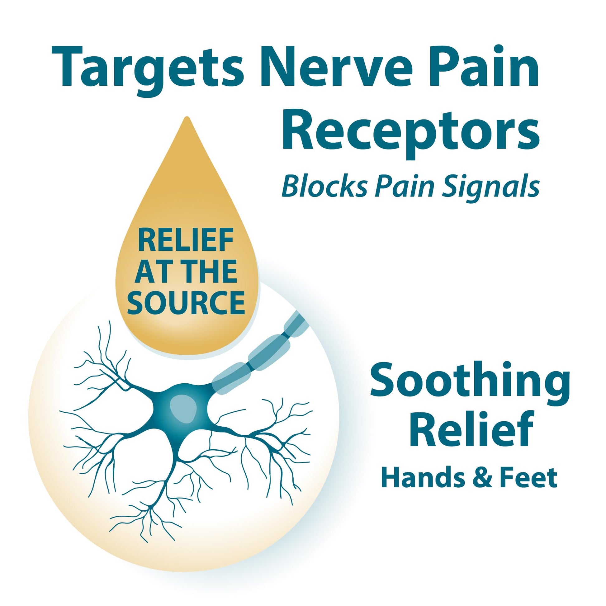 FRANKINCENSE & MYRRH Foot Pain Relief Rubbing Oil, Neuropathy Pain Relief for feet, Frankincense Essential Oil, Diabetic Lotion & Cream, Nerve, Neuropathy, Maximum Strength – 2 Pack FRANKINCENSE & MYRRHBuy Supplements Australia