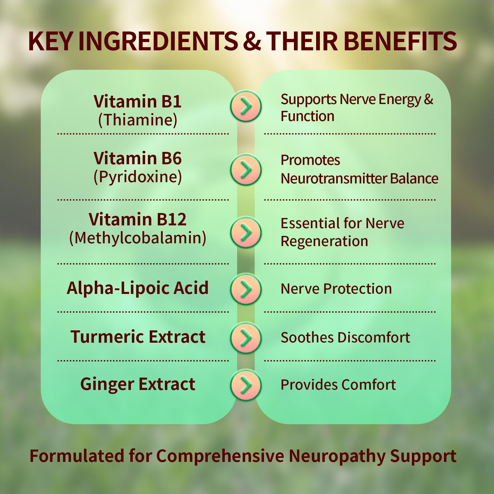 Sugar Free Neuropathy Support Gummies for Nerve – Enhanced Nerve Health, Regeneration, Cognitive Support with Vitamin B1, B6, B12, Magnesium, ALA, Turmeric, CoQ10 & More WarmbioderBuy Supplements Australia