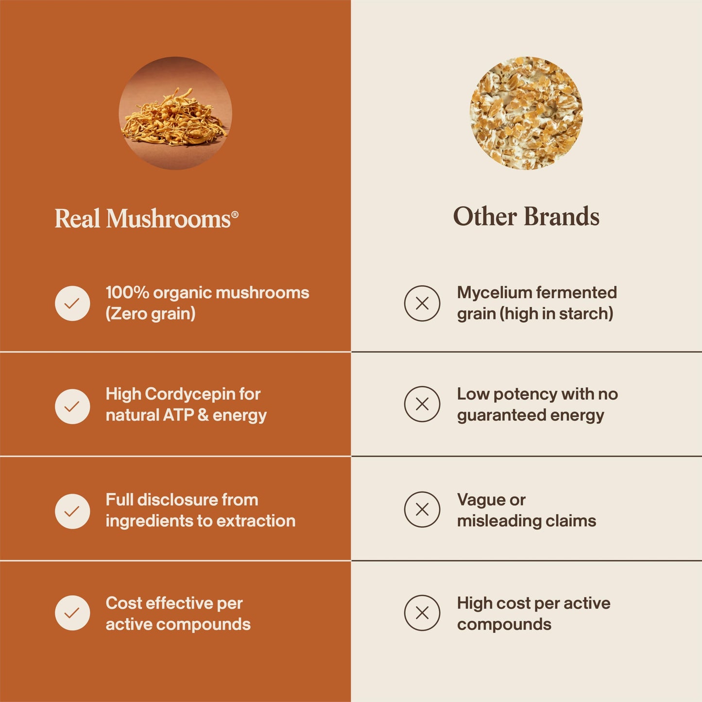 Real Mushrooms Supplement Capsules - Cordyceps Mushroom Powder Rich in Beta Glucans - Mushroom Pills Cordyceps for Energy and Performance - Vegan, Non-GMO, No Grain Fillers, 120 ct Real MushroomsBuy Supplements Australia