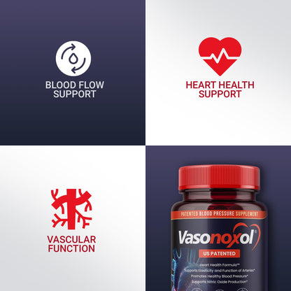 Vasonoxol U.S. Patented Nitric Oxide Supplement for Blood Pressure Support 2880mg - Physician Formulated Vascular Health Formula with L-Arginine & L-Citrulline - Vegan, Non-GMO (120 Capsules) PanoxolBuy Supplements Australia