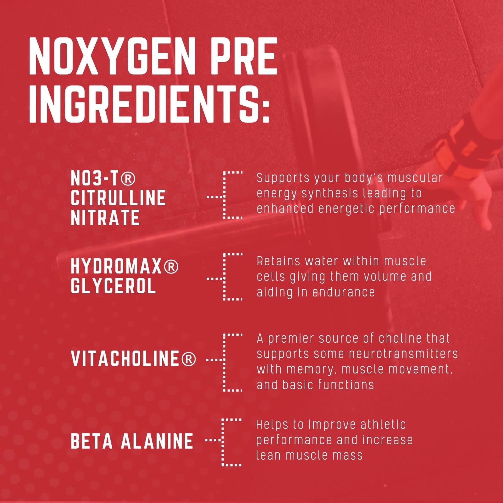 Purus Labs NOXYGEN PREWORKOUT Powder, 30 Servings (Gummy Bear)