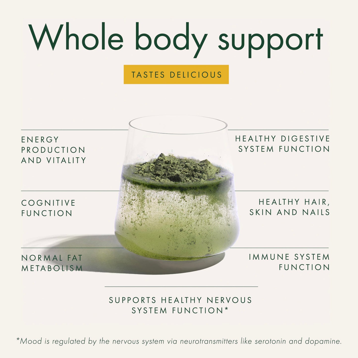 WelleCo The Super Elixir Daily Greens Powder, Probiotic Drink Mix with Whole Foods, Gluten Free, Vegan Gut Health Powder, Energy, Immunity, Healthy Skin, Hair & Nails (300g, Lemon Ginger) WelleCoBuy Supplements Australia