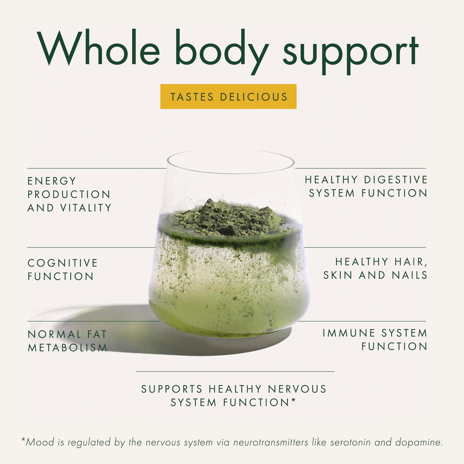 WelleCo The Super Elixir Daily Greens Powder, Probiotic Drink Mix with Whole Foods, Gluten Free, Vegan Gut Health Powder, Energy, Immunity, Healthy Skin, Hair & Nails (300g, Lemon Ginger) WelleCoBuy Supplements Australia