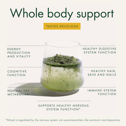 WelleCo The Super Elixir Daily Greens Powder, Probiotic Drink Mix with Whole Foods, Gluten Free, Vegan Gut Health Powder, Energy, Immunity, Healthy Skin, Hair & Nails (300g, Lemon Ginger) WelleCoBuy Supplements Australia