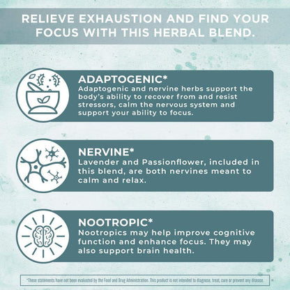 MaryRuth Organics Nootropic Focus Supplement for Adults | USDA Organic | Ginkgo Biloba MaryRuth OrganicsBuy Supplements Australia