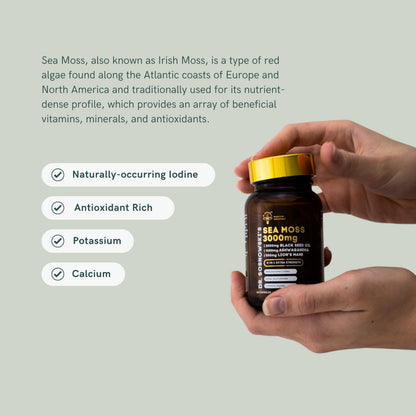 Dr Sosnowski's BioActive Sea Moss | 8-in-1 Formula Enriched with Black Seed, Ashwagandha, Turmeric, Manuka Honey, Lion's Mane, Royal Jelly, Bee Propolis Extract | 60 Capsules Dr Sosnowski'sBuy Supplements Australia