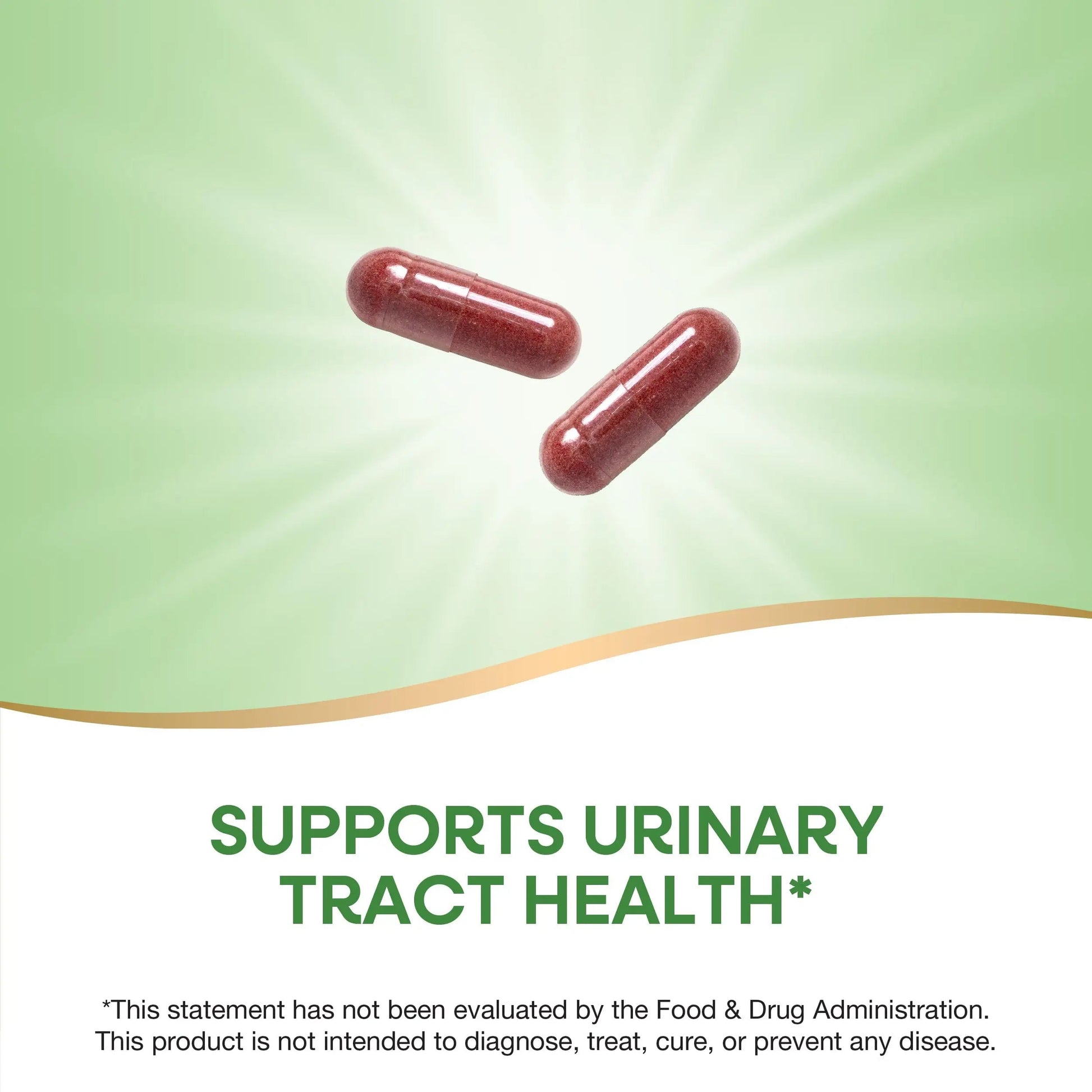 Nature's Way Cranberry Fruit, Cranberry Supplements, Supports Urinary Tract Health*, 930 mg per 2-Capsule Serving, 180 Capsules (Packaging May Vary) Nature's WayBuy Supplements Australia