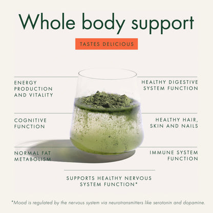 WelleCo The Super Elixir Daily Greens Powder, Probiotic Drink Mix with Whole Foods, Gluten Free, Vegan Gut Health Powder, Energy, Immunity, Healthy Skin, Hair & Nails (Jar, Blood Orange) WelleCoBuy Supplements Australia