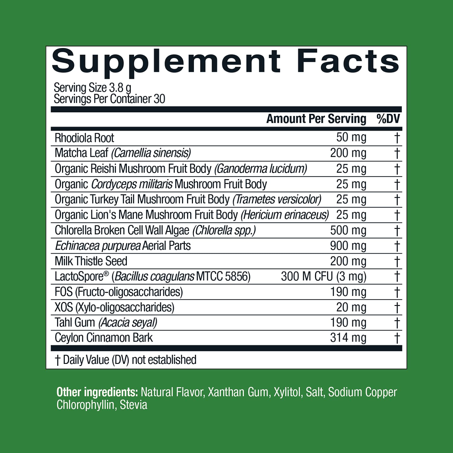 Live Conscious Beyond Greens Concentrated Superfood Powder - Matcha Flavor w/Chlorella, Echinacea, Probiotics for Immune Support & Energy - 30 Servings (2-Pack) Live ConsciousBuy Supplements Australia