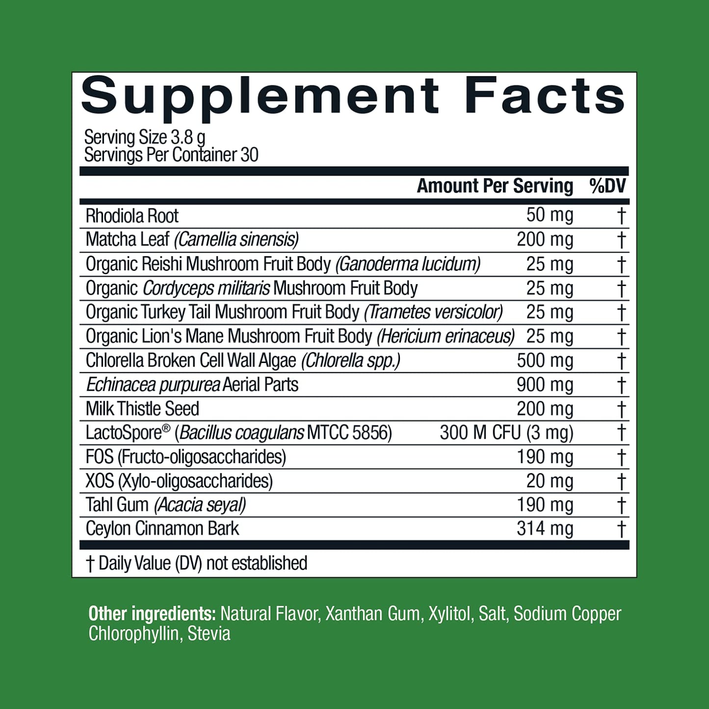 Live Conscious Beyond Greens Superfood Powder - Delicious Debloating Super Greens Powder - Matcha Greens Blend w/Chlorella, Echinacea, Probiotics for Immune Support & Energy Live ConsciousBuy Supplements Australia