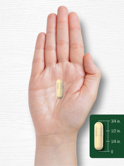 Carlyle Green Coffee Bean Extract | 8000 mg | 300 Capsules | Non-GMO and Gluten Free CarlyleBuy Supplements Australia