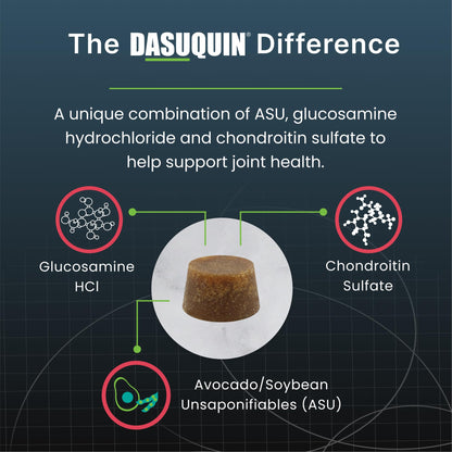Nutramax Dasuquin Joint Health Supplement for Large Senior Dogs – for Immune Support, Skin & Coat Health, and Brain Health, 84 Soft Chews Nutramax LaboratoriesBuy Supplements Australia