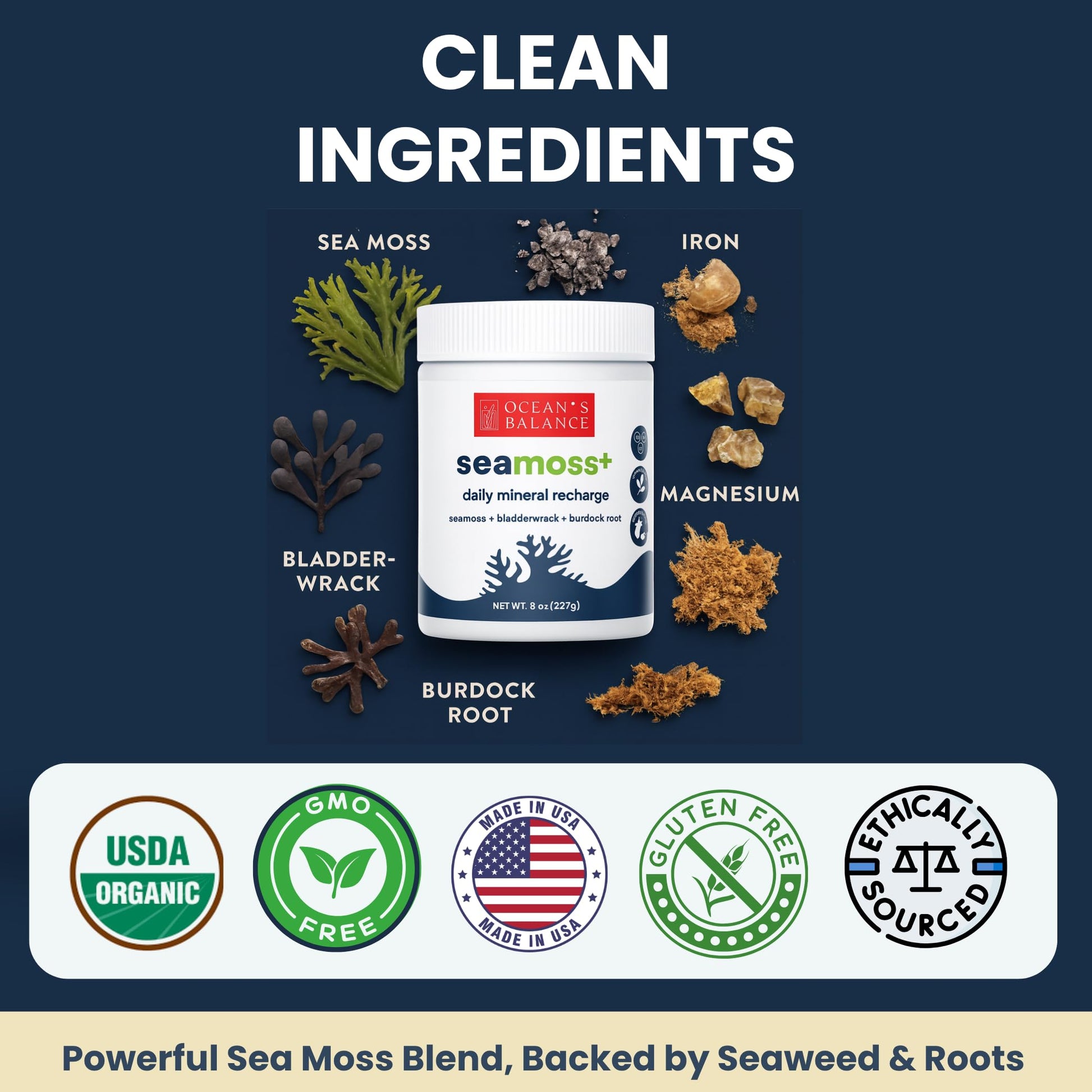 Ocean's Balance Seacleanse+ Daily Detox Cleanse Powder | Gut Health & Immune Support | Supports Gentle Cleanse & Vitality | 8oz Ocean's Balance Clean Taste of MaineBuy Supplements Australia
