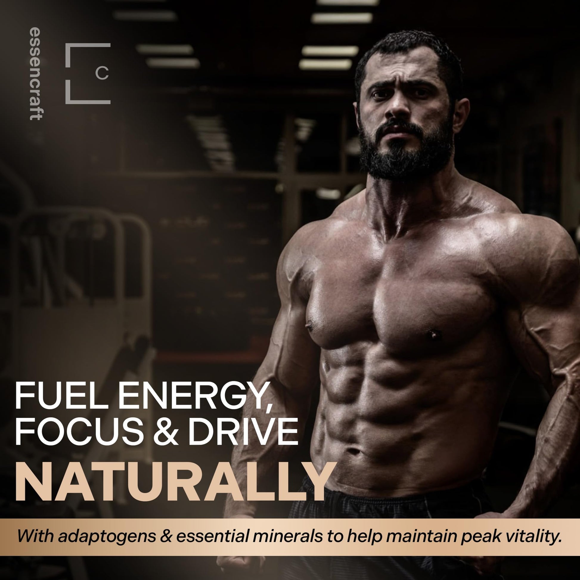 Essencraft Atlas X Testosterone Supplement for Men – 10-in-1 Natural Testosterone Booster & Muscle Booster w/Shilajit, Zinc, Tongkat Ali, & More (120 Capsules) EssencraftBuy Supplements Australia
