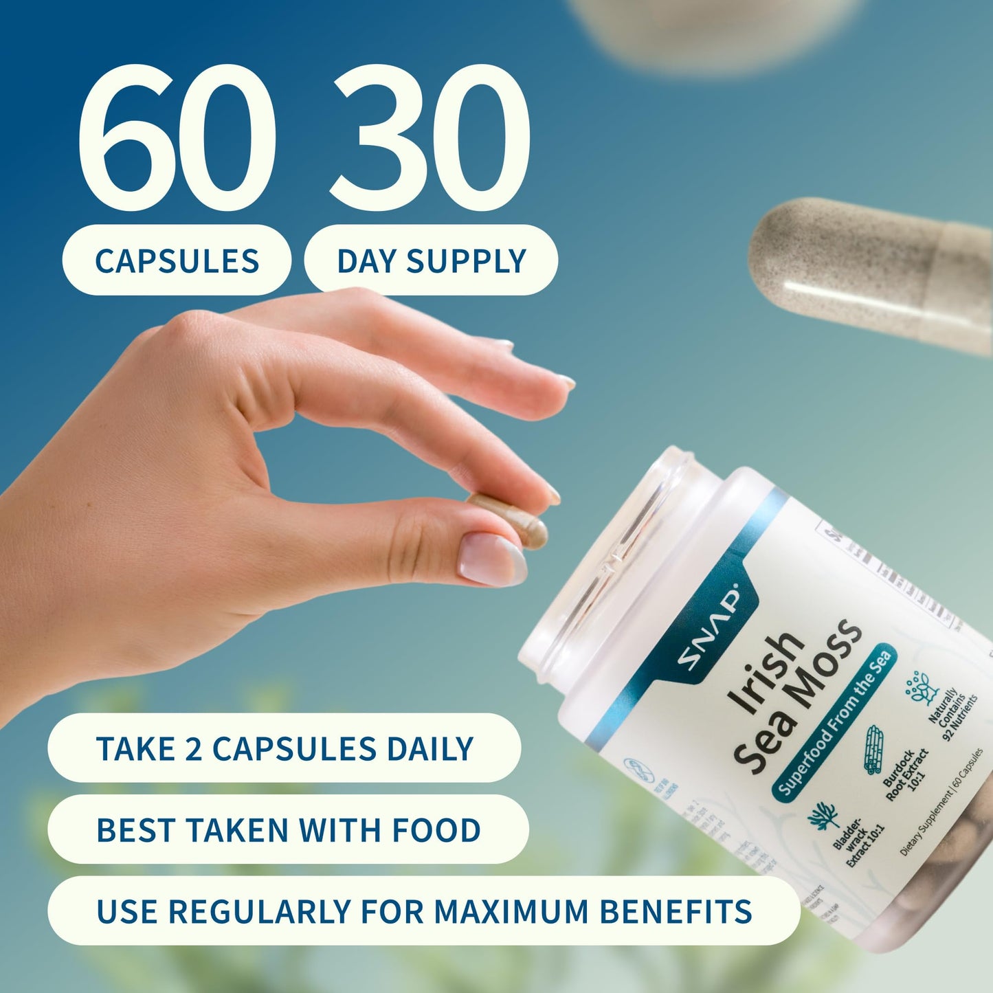 Snap Supplements Irish Sea Moss with Bladderwrack, Burdock Root & Iodine – Natural Sea Moss Supplement to Support Gut Health, Energy & Healthy-Looking Skin, 60 Vegan Capsules (1 Month Supply) Snap SupplementsBuy Supplements Australia