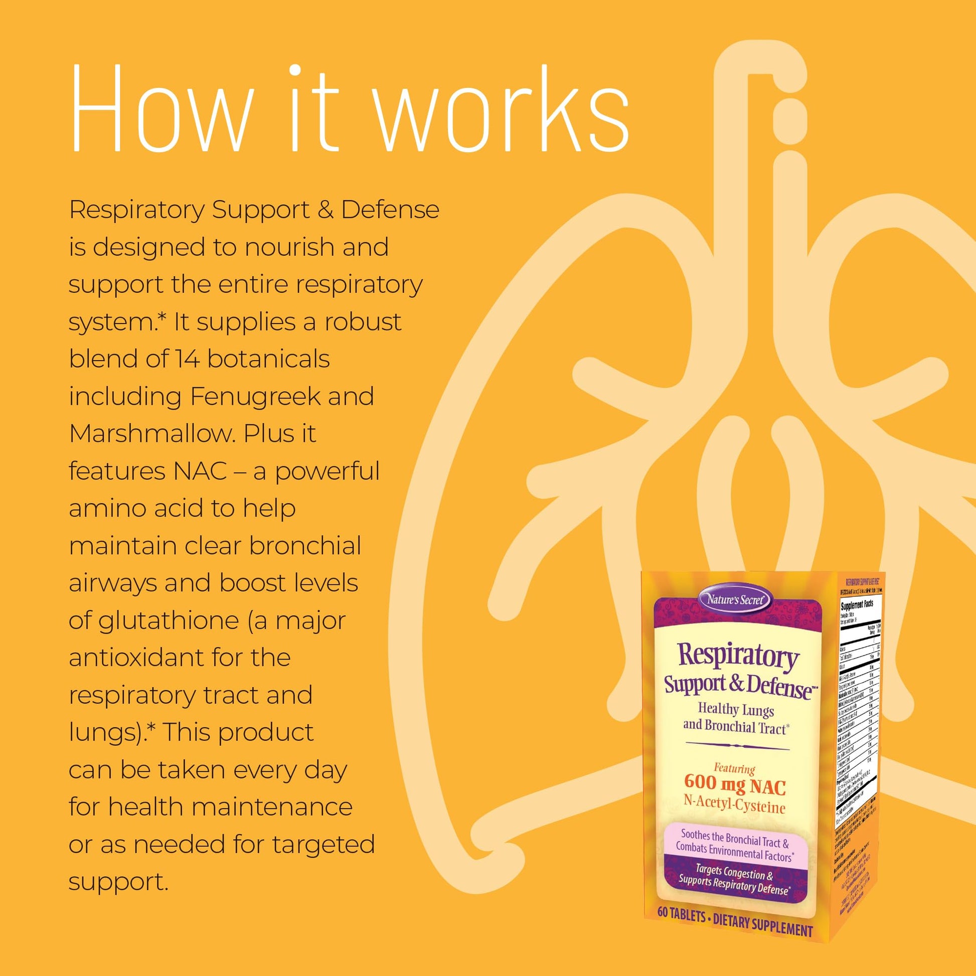 Nature's Secret Respiratory Support & Defense - 60 Tablets - Promotes Healthy Lungs & Bronchial Tract - With NAC, Fenugreek & Marshmallow - 30 Total Servings Nature's SecretBuy Supplements Australia