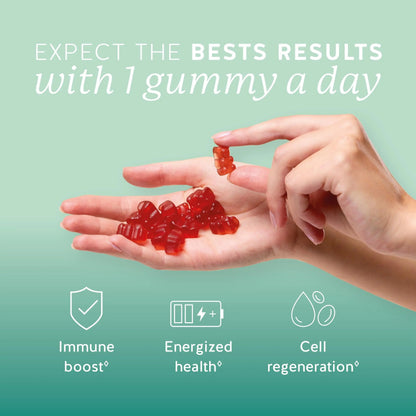 Bears with Benefits Immune Support Gummies – Vitamin C, D, B6 & B12 – Daily Immune Boost – Vegan, Naturally Flavored (60 Gummies) Bears with BenefitsBuy Supplements Australia