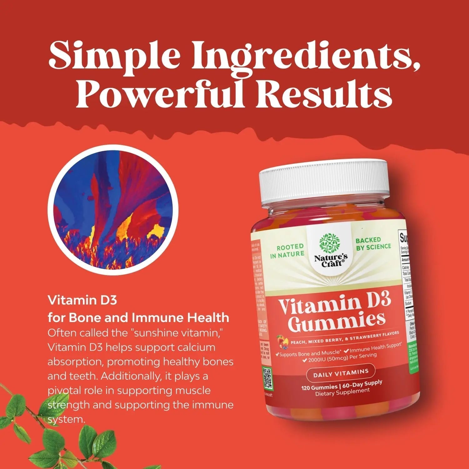 Bundle of Potent Daily Multivitamin Gummies - Wellness Blend of Vitamin D A C E B12 Zinc & Biotin for Energy & Immunity and Vitamin D3 Gummies Natures CraftBuy Supplements Australia