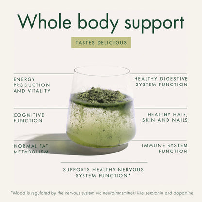 WelleCo The Super Elixir, Daily Greens Powder with Probiotics, Superfoods & Whole Foods, Unflavored Drink Mix for Gut Health, Immunity, Energy, Skin & Hair, 10.5oz Jar WelleCoBuy Supplements Australia