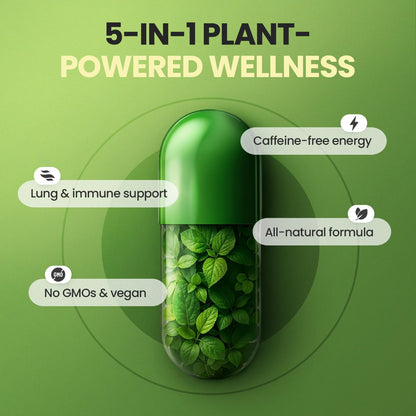 Moringa Capsules, Beet Root, Mullein Leaf - Energy, Skin, Immune Supplement Superfood, Rich in Antioxidants, Minerals & Essential Vitamins - High Absorption Non-GMO - Made in USA - 60ct VitamaxBuy Supplements Australia