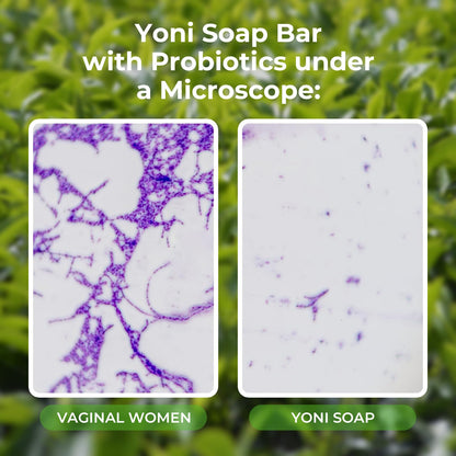 Feminine Wash & Yoni Oil & Yoni Soap Tea Tree Set for Women, Yoni Wash for Vaginal Ph Balance Remove BASSIBuy Supplements Australia