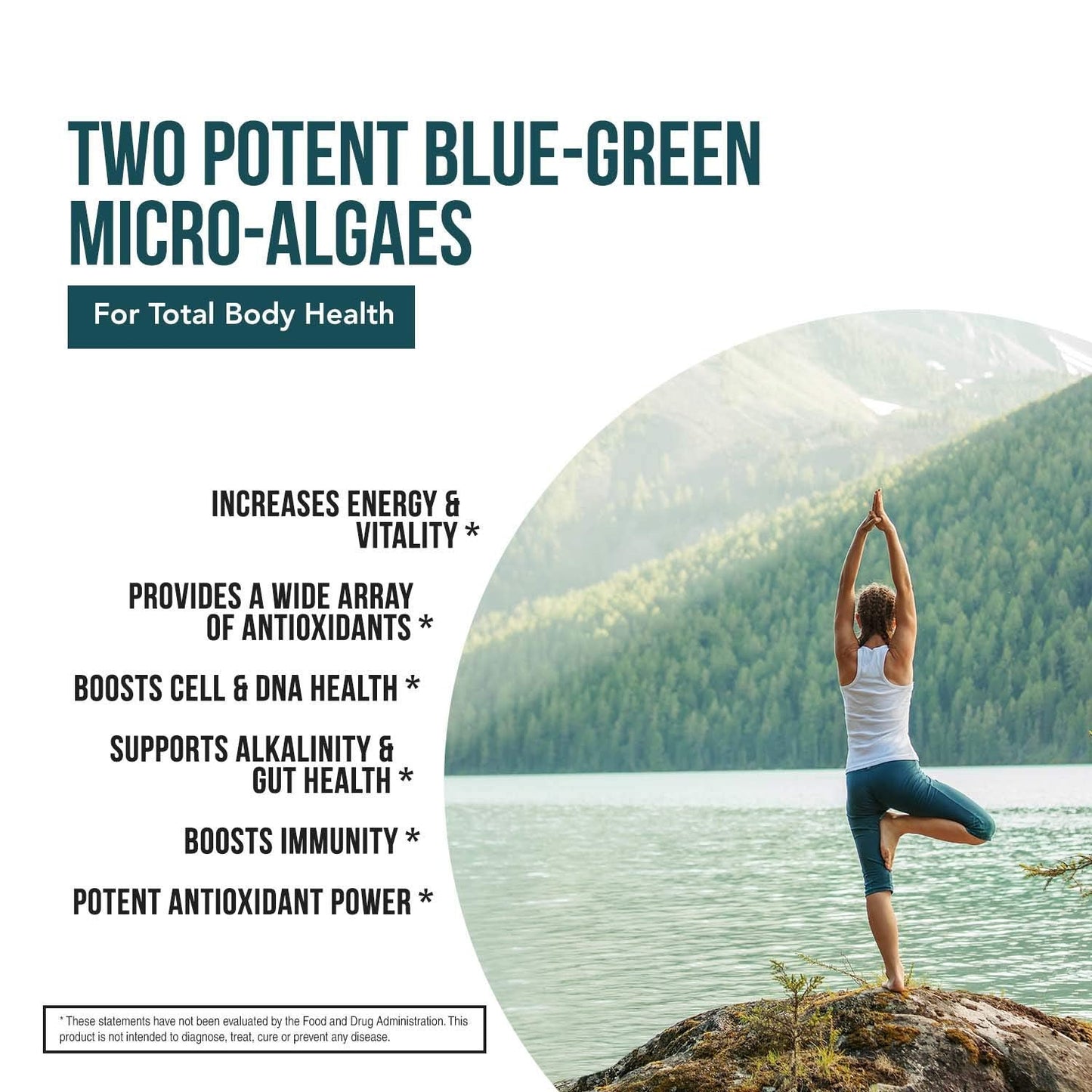Organic Spirulina & Chlorella Tablets – 4 Organic Certifications, Raw, Non-Irradiated – 50/50 Blue Green Algae Blend – Antioxidant Content Equal to 5 Servings of Vegetables (120 Tablets) Triquetra HealthBuy Supplements Australia