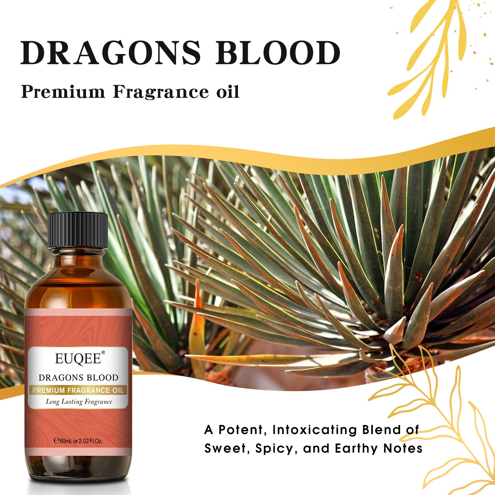 EUQEE Dragons Blood Fragrance Oils, 60ml Scent Essential Oils with Glass Dropper for Diffusers EUQEEBuy Supplements Australia