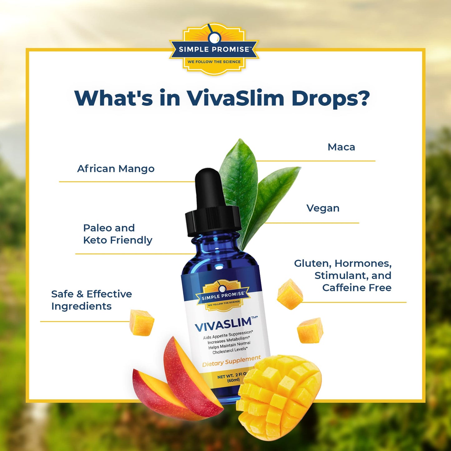 Simple Promise - VivaSlim - Natural Liquid Drops with African Mango, 2 fl oz Simple PromiseBuy Supplements Australia