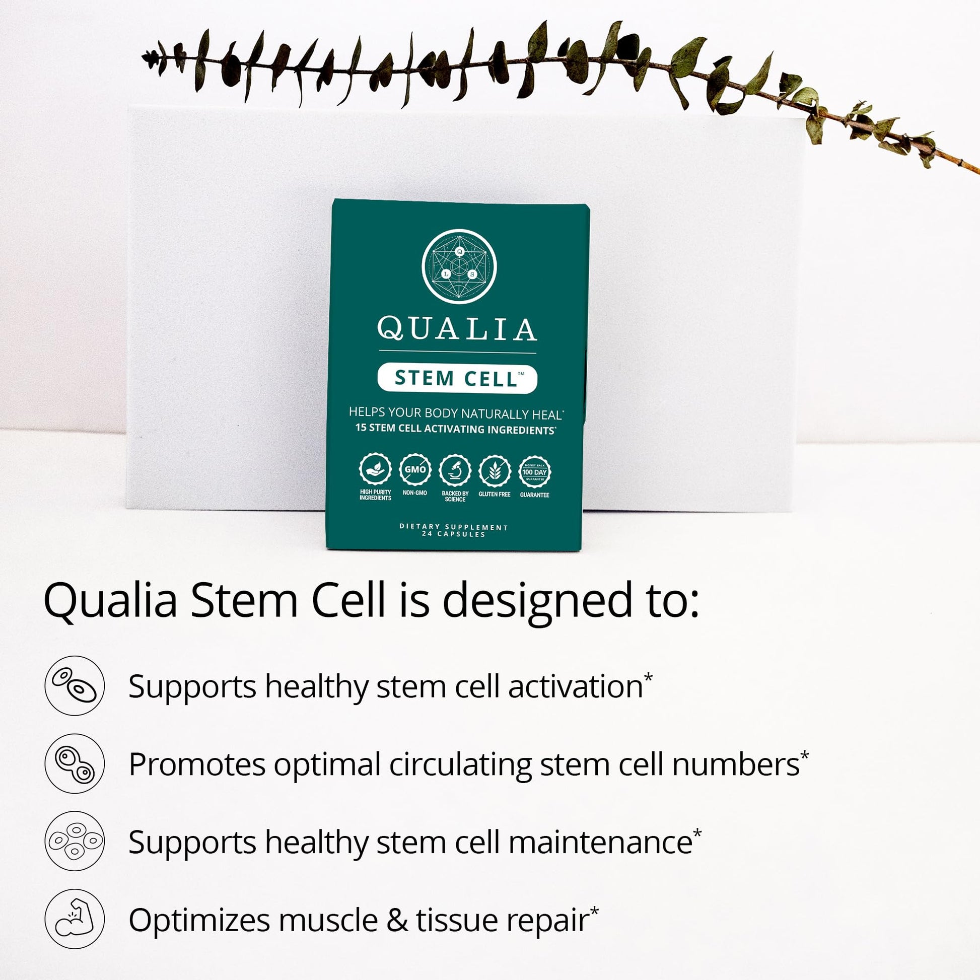 Qualia Stem Cell — Stem Cell Supplement Support with Royal Jelly, Astragalus & Sea Buckthorn | 16 Ingredients | 4 Days a Month | Helps Body Naturally heal* QUALIA LIFE SCIENCESBuy Supplements Australia