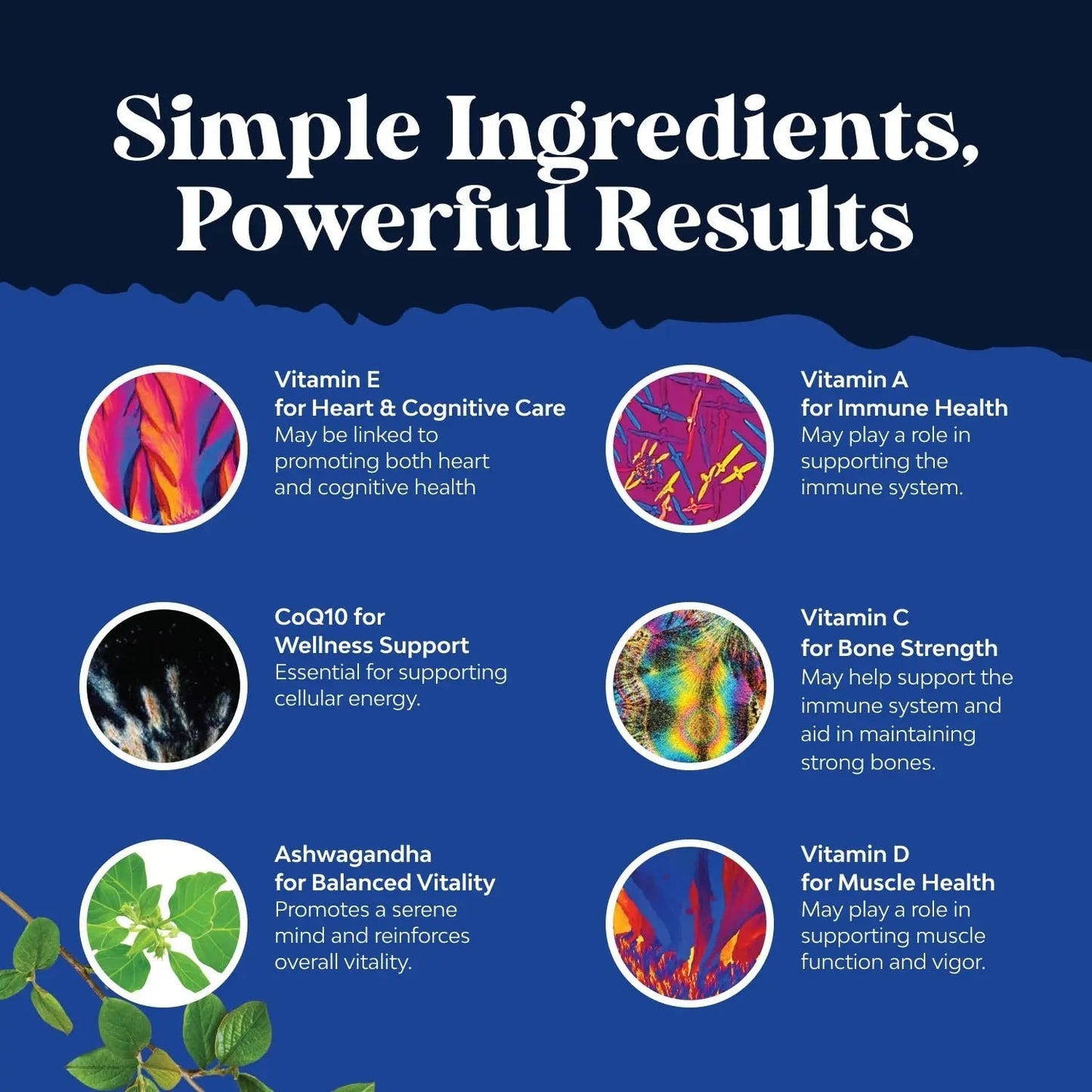 Bundle of Daily Mens Multivitamins Gummies with Zinc and Biotin for Energy and Immunity and Daily Multivitamin for Women Gummies - Gummy Vitamins for Health and Wellness Natures CraftBuy Supplements Australia