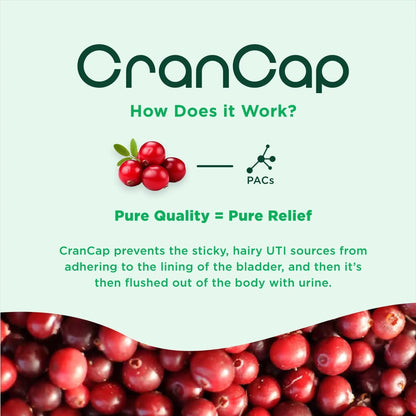 CranCap - Cranberry Pills - Urinary Tract Health Cranberry Supplement - 36mg of Potent PACs - Non GMO, Vegan, Gluten Free - by Heale - 30 Capsules CranCapBuy Supplements Australia