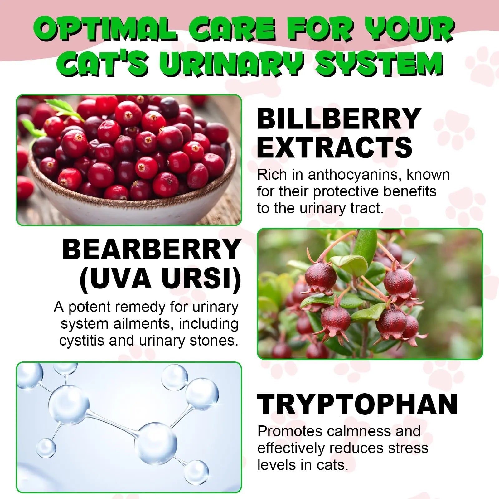 Cat Urinary Tract Infection Treatment, Cat UTI Treatment Drops Supports Bladder, Kidney Stone, Cranberry Kidney Bladder Support Supplement, Chicken Flavor, 60ml BTQAFVZTBuy Supplements Australia