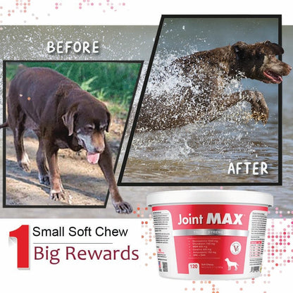 Joint Max TS Joint Supplement Vet Formulated Pain & Inflammation Relief Treats Hip Dysplasia & Arthritis, Glucosamine, Chondroitin, Turmeric, MSM, HA, Creatine, Omega 3 EPA + DHA.120 Soft Chews Joint MaxBuy Supplements Australia