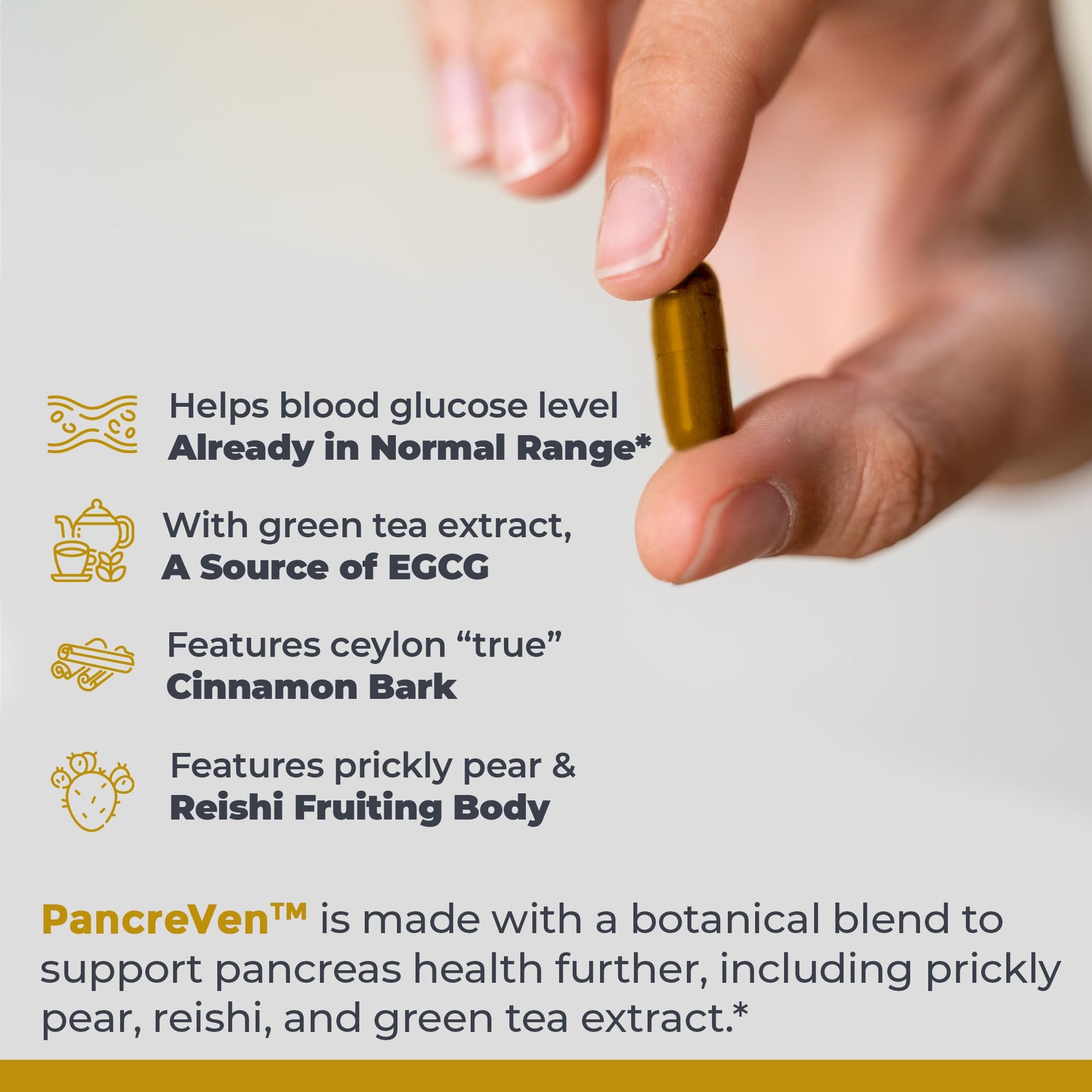 Premier Research Labs PancreVen - Pancreas Support, Pancreas Supplement, Cinnamon Supplements with Organic Ceylon Cinnamon & Prickly Pear to Aid Pancreas Health - 120 Vegetarian Capsules Premier Research LabsBuy Supplements Australia