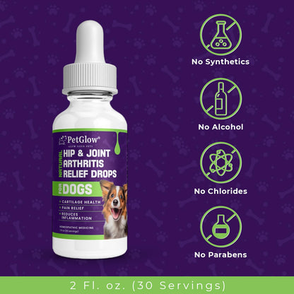 Petglow® Natural Hip & Joint Arthritis Relief Drops with Curcumin & Boswellia, Homeopathic Anti-Inflammatory Formula for Dogs, Cats & Horses, Supports Flexibility, Comfort & Mobility Naturally PetglowBuy Supplements Australia