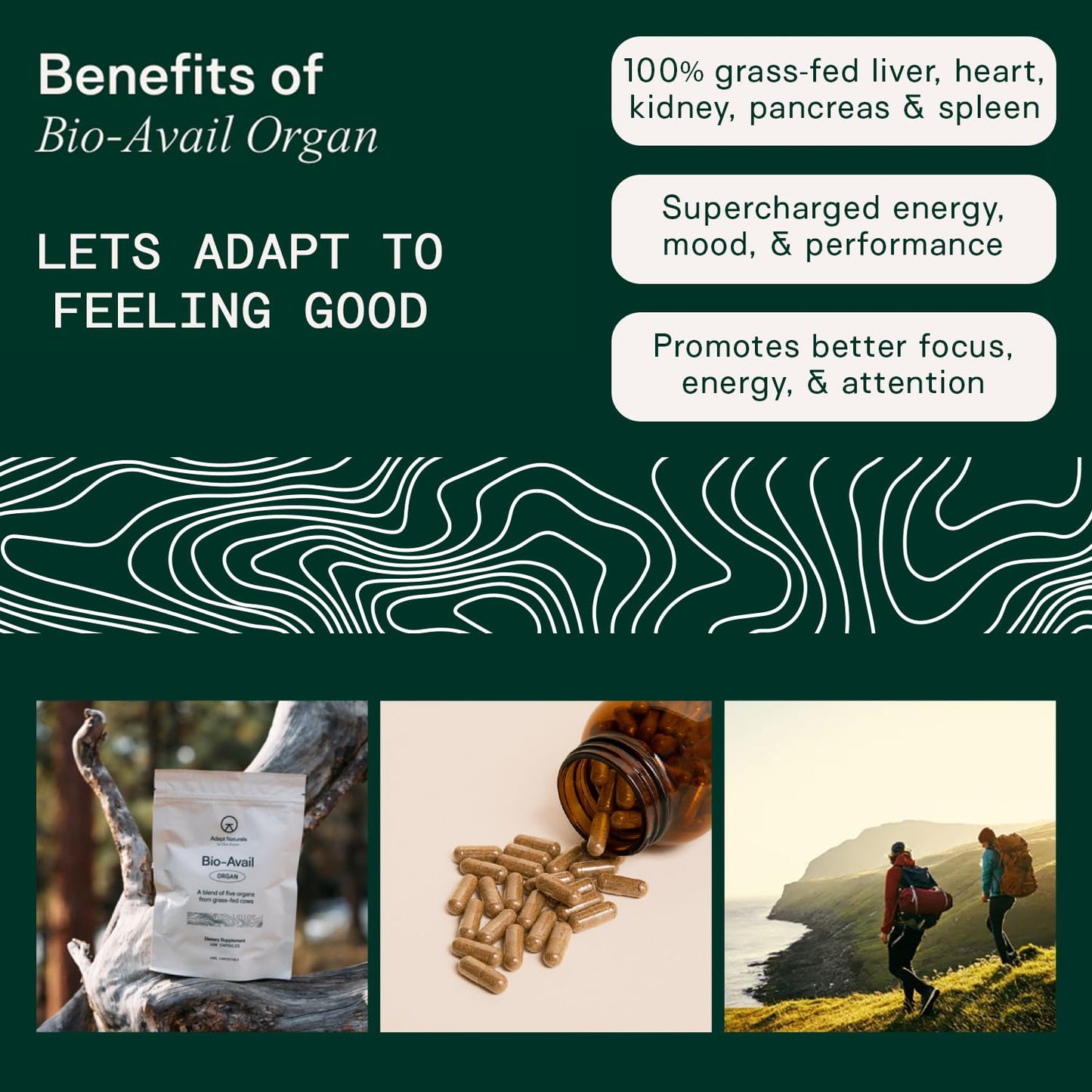 Adapt Naturals Organ Supplement, Bioavailable Grass Fed Beef Liver Capsules, Blend of Liver, Heart, Kidney, Pancreas & Spleen, Support Liver Cleanse Detox & Repair | Source of CoQ10-30 Days Supply ADAPT NATURALS BY CHRIS KRESSERBuy Supplements Australia