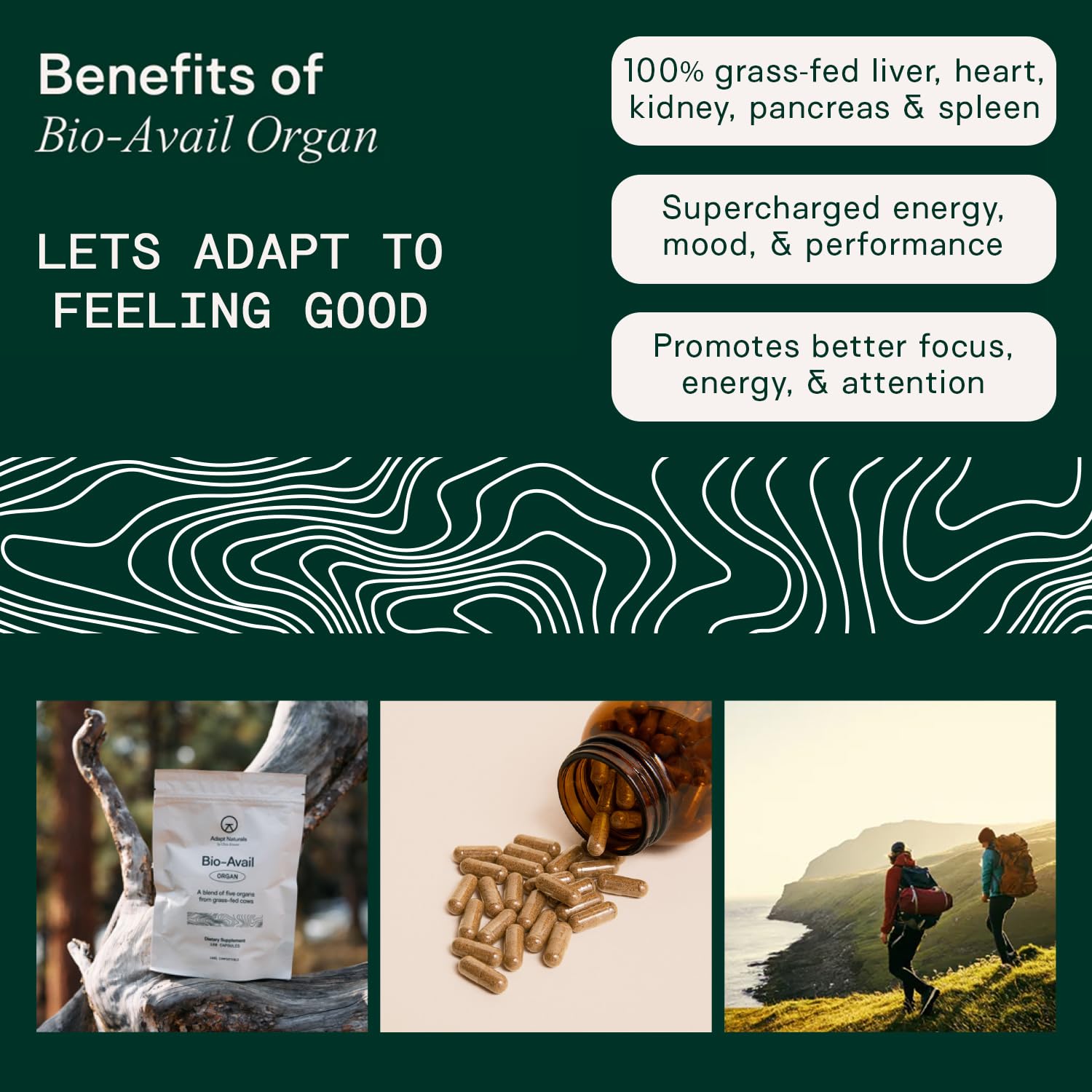 Adapt Naturals Organ Supplement, Bioavailable Grass Fed Beef Liver Capsules, Blend of Liver, Heart, Kidney, Pancreas & Spleen, Support Liver Cleanse Detox & Repair | Source of CoQ10-30 Days Supply ADAPT NATURALS BY CHRIS KRESSERBuy Supplements Australia
