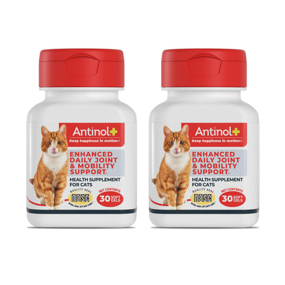 Antinol Plus, Mobility, Hip, and Joint Supplement for Cats, Green-Lipped Mussels and Krill Oil - Cat Joint Supplement, 60 Soft Gels AntinolBuy Supplements Australia