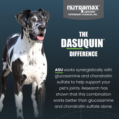Nutramax Dasuquin for Large Dogs, Joint Health Supplement, Contains Glucosamine for Dogs, Plus Chondroitin, ASU, MSM and More, Supports Healthy Joints, Chewable Tablets, 150 Count Nutramax LaboratoriesBuy Supplements Australia