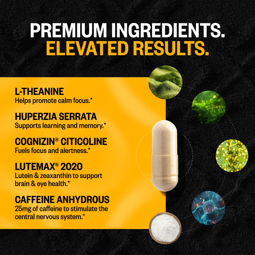 ONNIT Alpha Brain Black Label Capsules, IGEN Non-GMO Tested Citicoline Brain Supplement for Concentration and Memory, Lion’s Mane, Lutemax Lutein, L Theanine and Mucuna Pruriens, 80 Count ONNITBuy Supplements Australia