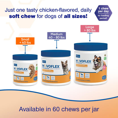 MOVOFLEX Advanced Soft Chews Hip Joint Support Supplement for Large Dogs 60 Count by Virbac MOVOFLEXBuy Supplements Australia