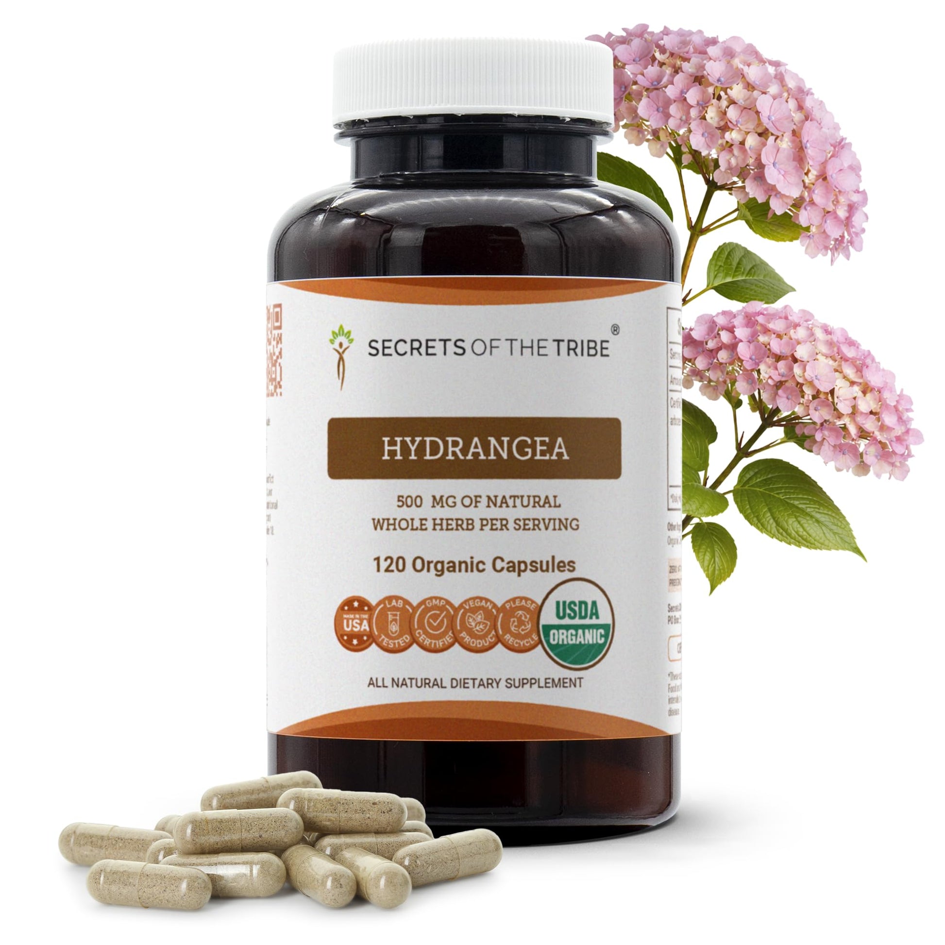 Secrets of the Tribe Hydrangea USDA Organic Capsules | Certified Organic Vegetarian Capsules, Herbal Dietary Supplement | Hydrangea arborescens Dried Root (120 Count) Secrets of the TribeBuy Supplements Australia