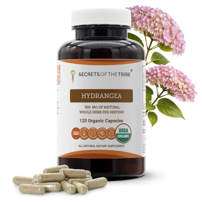 Secrets of the Tribe Hydrangea USDA Organic Capsules | Certified Organic Vegetarian Capsules, Herbal Dietary Supplement | Hydrangea arborescens Dried Root (120 Count) Secrets of the TribeBuy Supplements Australia