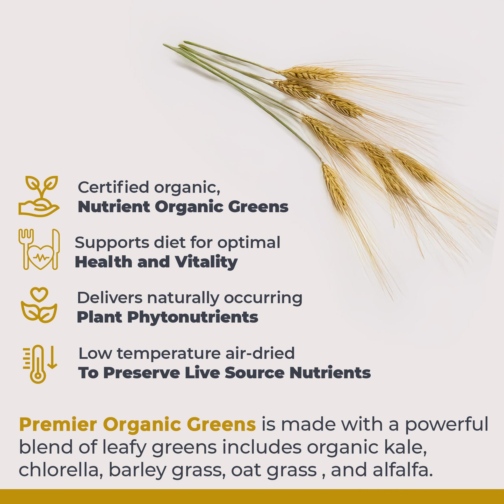 Premier Research Labs Premier Organic Greens - Super Greens Powder, Greens Superfood Powder for Drinks, Green Juice, Nutrition Support, Supergreens for Men & Women, Spinach, Alfalfa, Chlorella - 10 oz Premier Research LabsBuy Supplements Australia