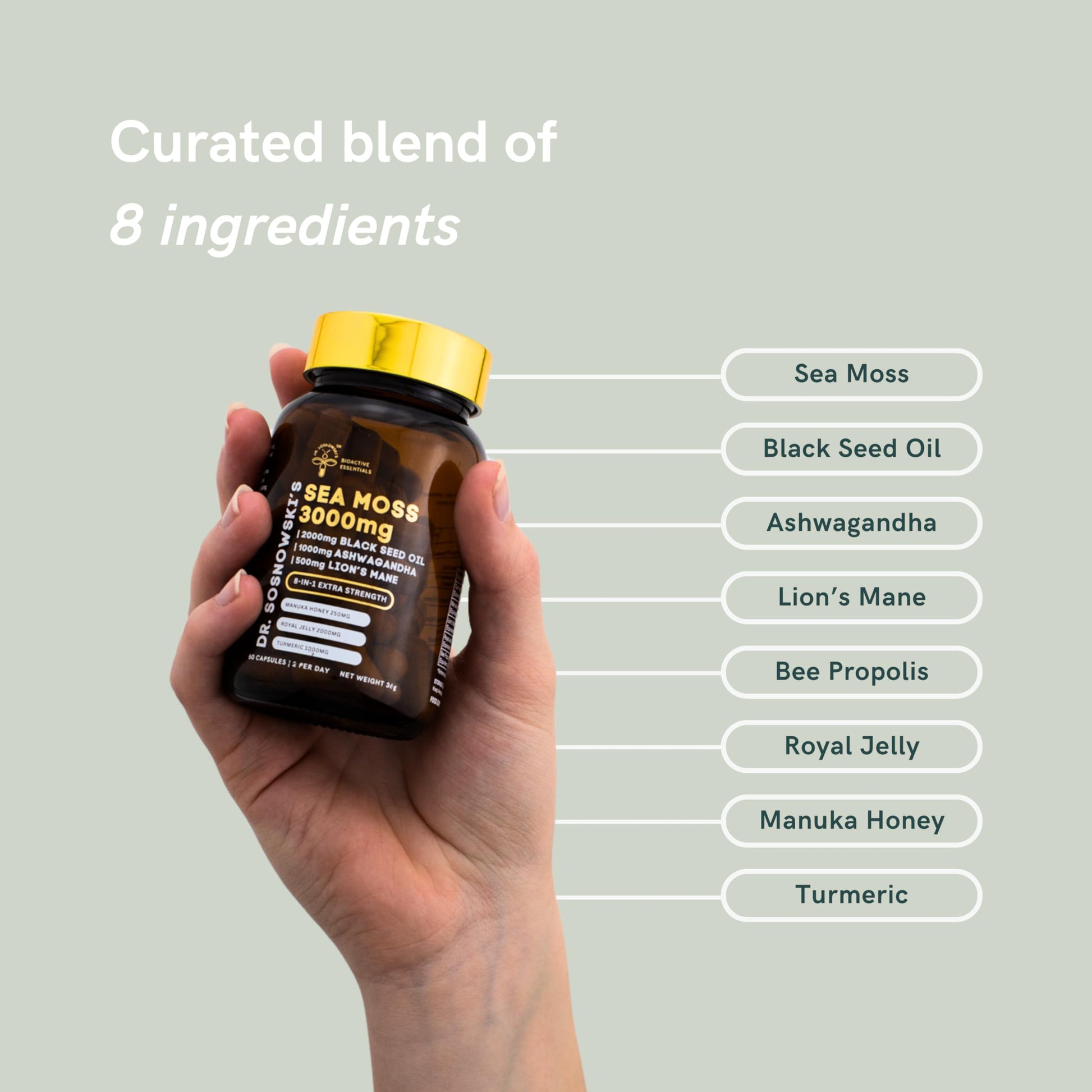 Dr Sosnowski's BioActive Sea Moss | 8-in-1 Formula Enriched with Black Seed, Ashwagandha, Turmeric, Manuka Honey, Lion's Mane, Royal Jelly, Bee Propolis Extract | 60 Capsules Dr Sosnowski'sBuy Supplements Australia