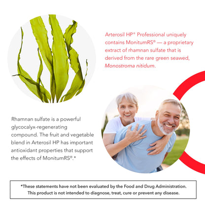 Calroy Health Sciences Arterosil HP Professional - Endothelial Glycocalyx Support - Heart Health Support - Artery Health Support - Circulation Support – MonitumRS