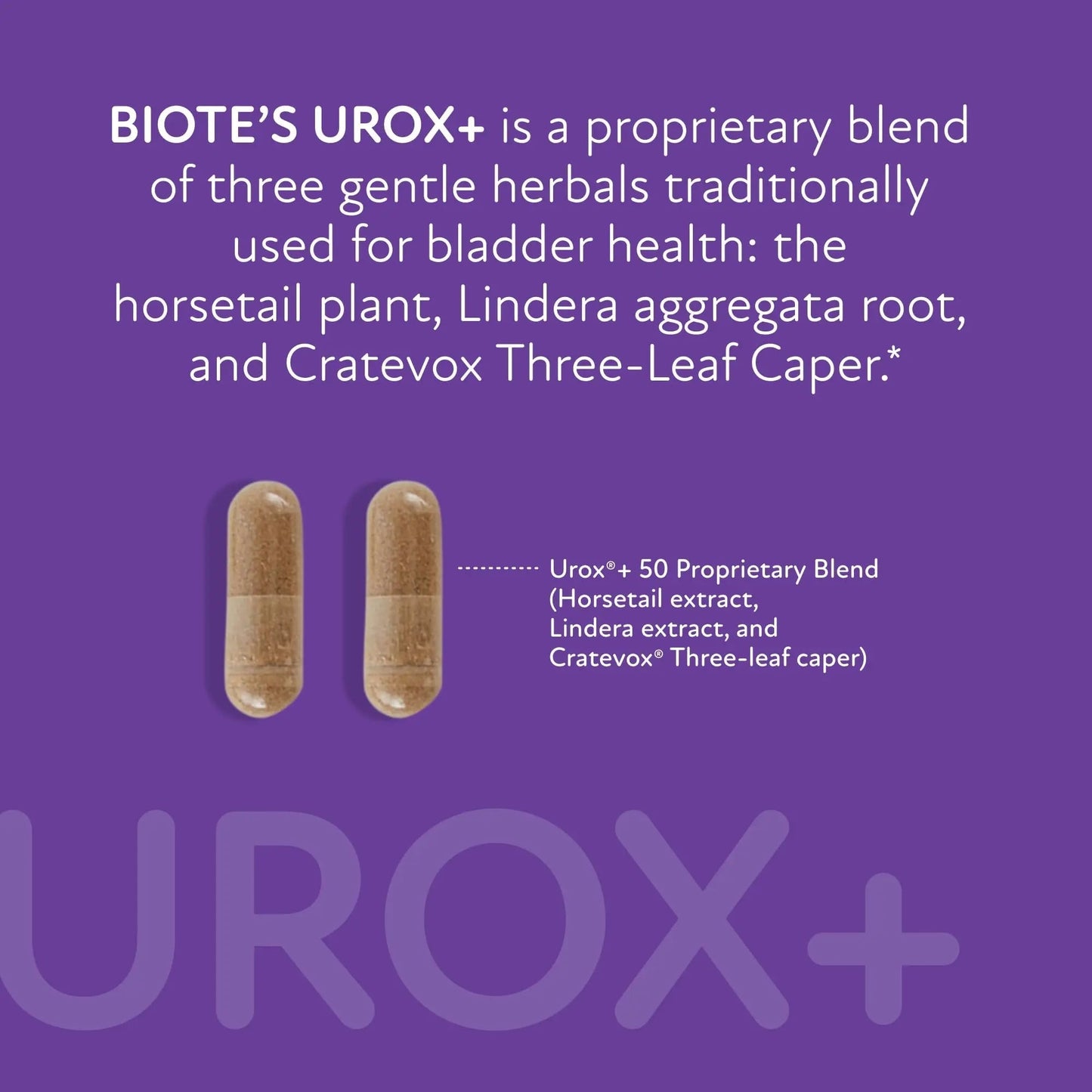 Biote Nutraceuticals - Urox+ - Bladder Health (60 Capsules) BioteBuy Supplements Australia